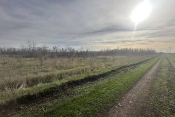 Фото №2: Земельный участок под ИЖС 15 сот. - Старомышастовская, мкр. поселок Сады Южные, ул. Южные Сады, 21