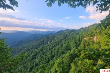 Фото №5: Земельный участок под ИЖС 15 сот. - Красный Дагестан, ул. Восточная, 5