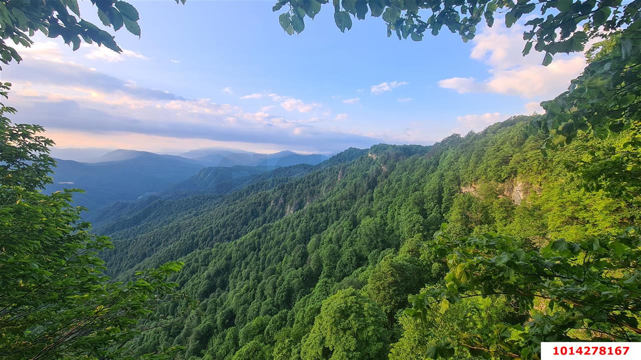 Фото №5: Земельный участок под ИЖС 15 сот. - Красный Дагестан, ул. Восточная, 5