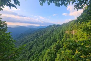 Фото №5: Земельный участок 15 сот. - Красный Дагестан, ул. Восточная, 5