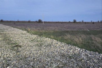 Фото №3: Личное подсобное хозяйство 5 сот. - Новобжегокай, ул. Хатита Махмуда