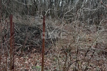 Фото №5: Земельный участок под ИЖС - Горячий Ключ, мкр. Заречье, ул. Ломоносова