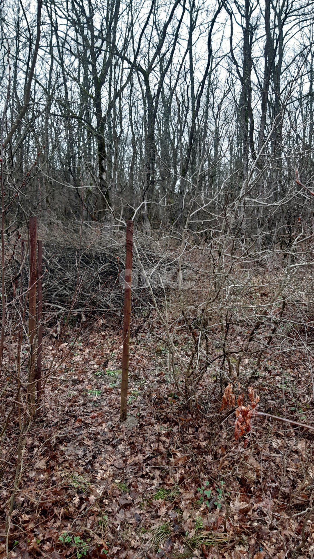 Фото №5: Земельный участок под ИЖС 10 сот. - Горячий Ключ, Заречье, ул. Ломоносова