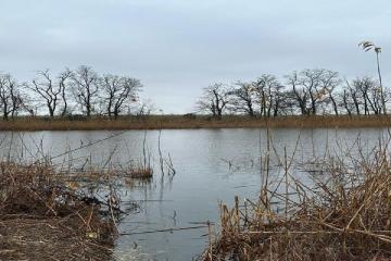 Фото №3: Земельный участок 16.2 сот. - Первореченское, 