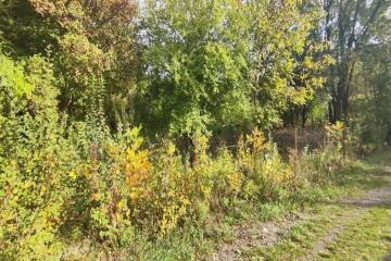 Фото №4: Земельный участок 12 сот. - Южная Кубань, мкр. Карасунский внутригородской округ, ул. Малиновая, 677