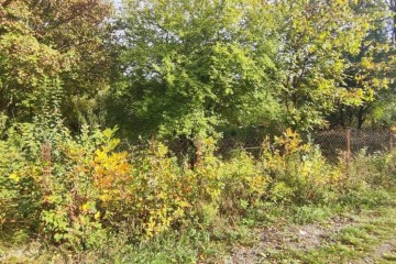 Фото №4: Участок садоводство 12 сот. - Южная Кубань, мкр. Карасунский внутригородской округ, ул. Малиновая, 677