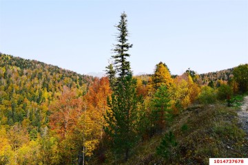 Фото №4: Земельный участок под ИЖС 20 сот. - Мезмай, 