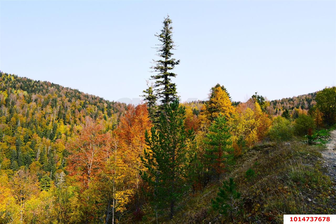 Фото №4: Земельный участок под ИЖС 20 сот. - Мезмай