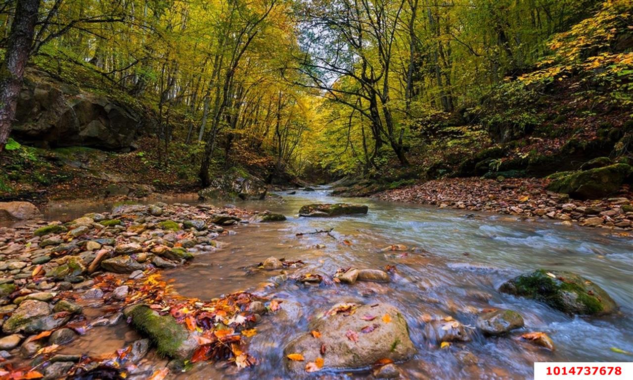 Фото №5: Земельный участок под ИЖС 20 сот. - Мезмай