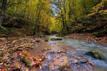 Фото №5: Земельный участок 20 сот. - Мезмай, 