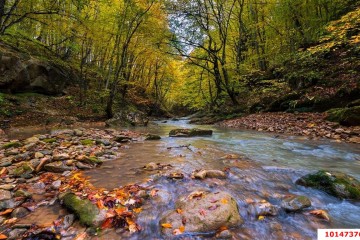 Фото №5: Земельный участок под ИЖС 20 сот. - Мезмай, 