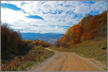 Фото №3: Земельный участок 20 сот. - Мезмай, 