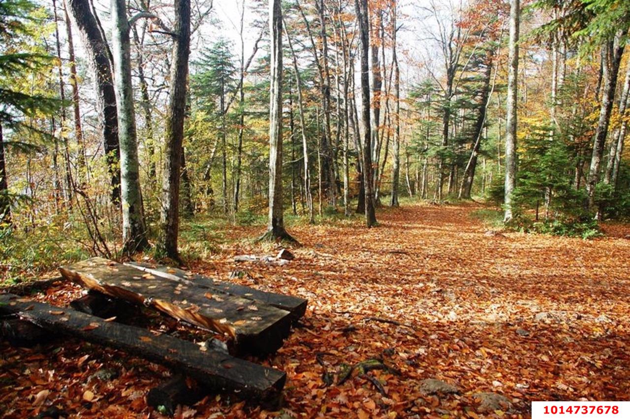 Фото №6: Земельный участок под ИЖС 20 сот. - Мезмай