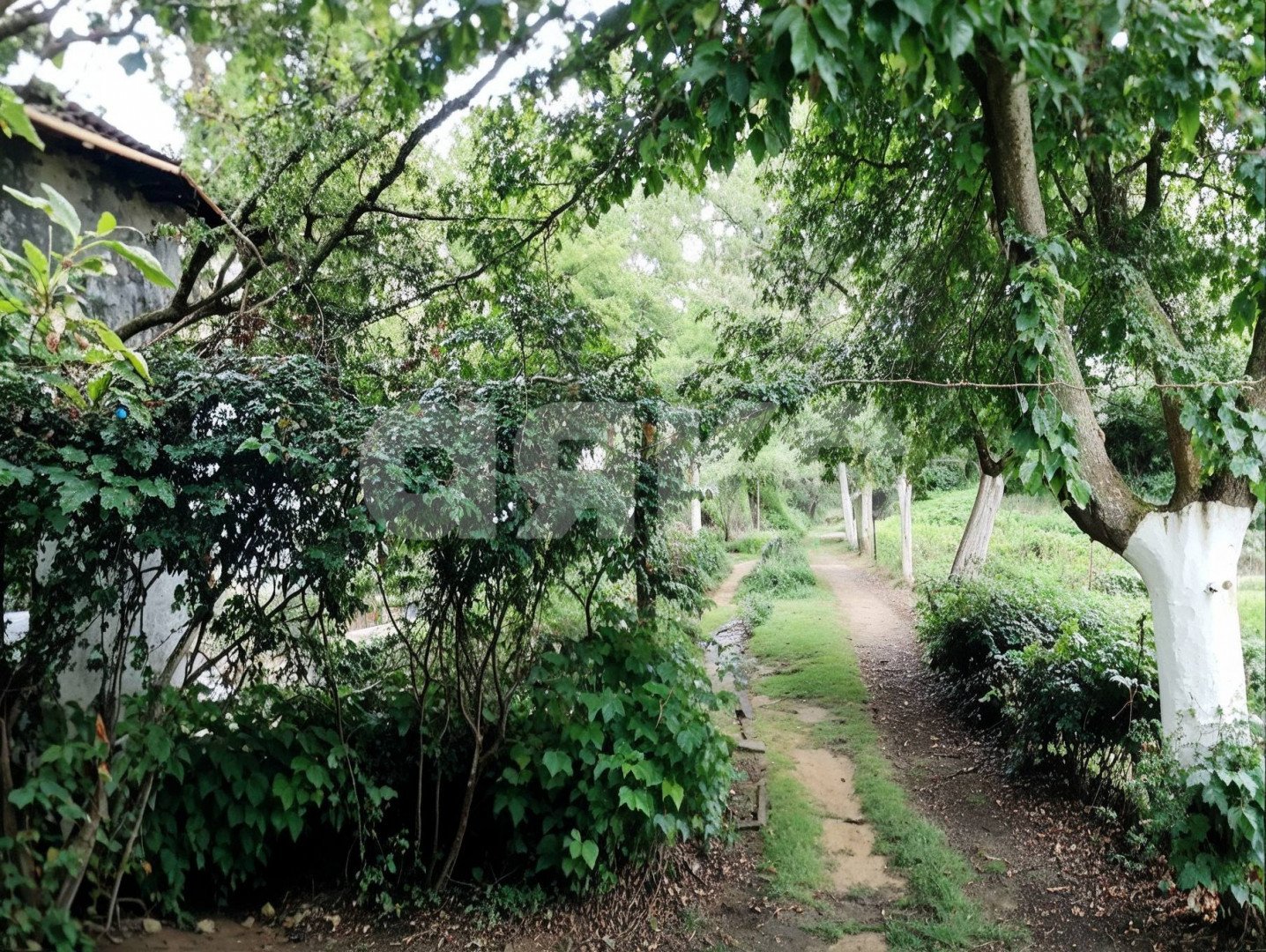 Фото №2: Дом 44 м² + 15 сот. - Джигинка, ул. Цветочная, 33