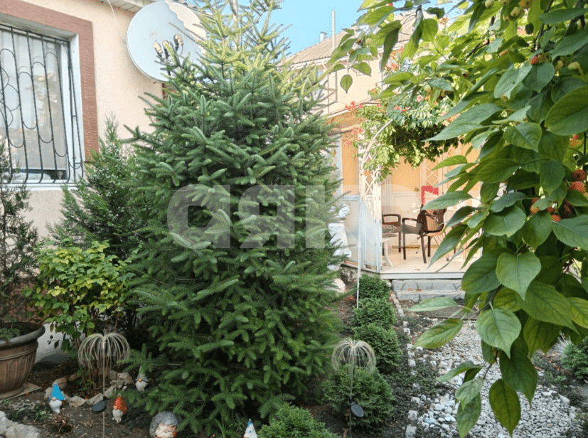 Фото №14: Дом 120 м² + 6 сот. - Мирное, 10