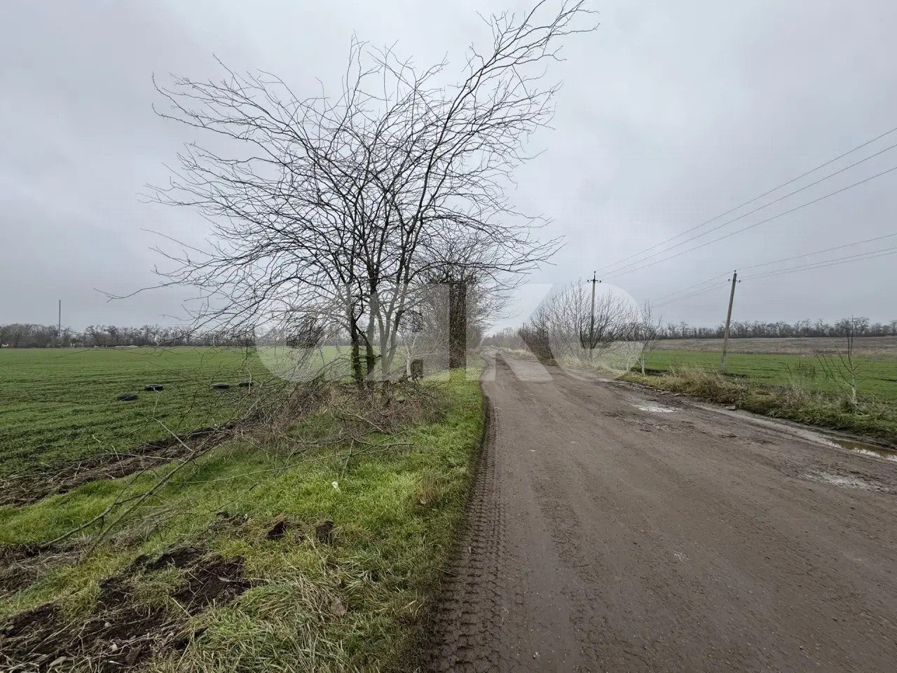 Фото №1: Коммерческая земля 100 сот. - Кореновск, 2-й квартал