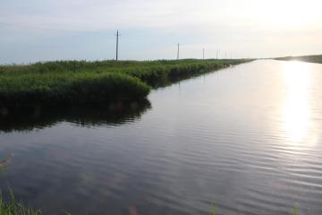 Фото №1: Дом 20 м² - Пригибский, ул. Лиманная