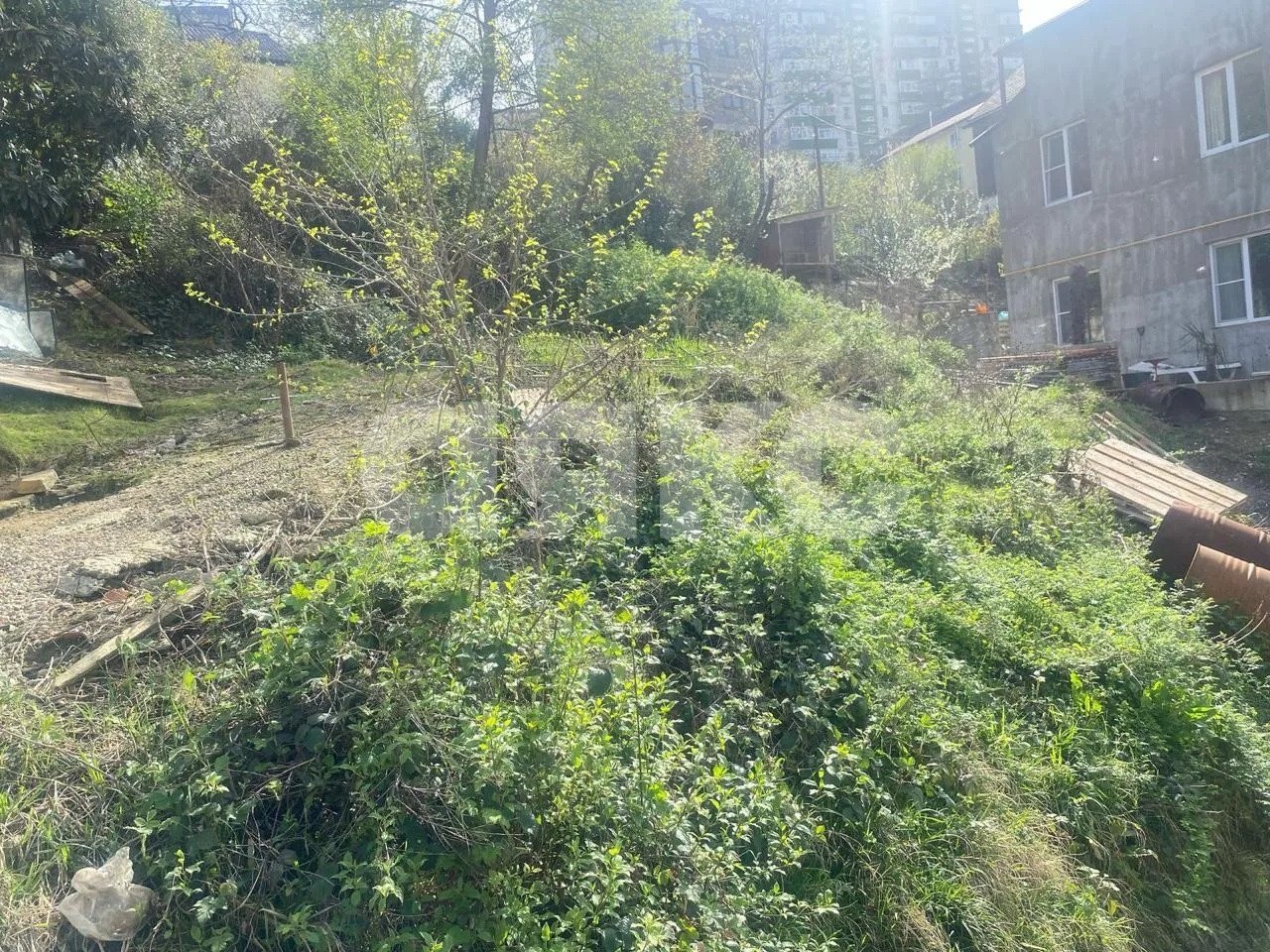 Фото №2: Участок садоводство 4.9 сот. - Сочи, СНТ Альянс, пер. Амбулаторный, 38