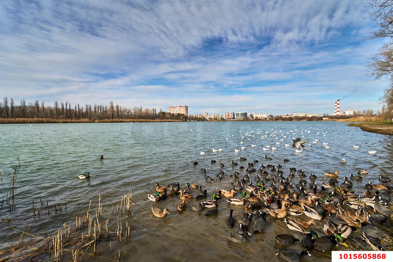 Фото №19: 1-комнатная квартира 45 м² - Краснодар, Карасунский внутригородской округ, Гидростроителей, мкр. жилой комплекс Речной Бриз, ул. Парусная, 10к1