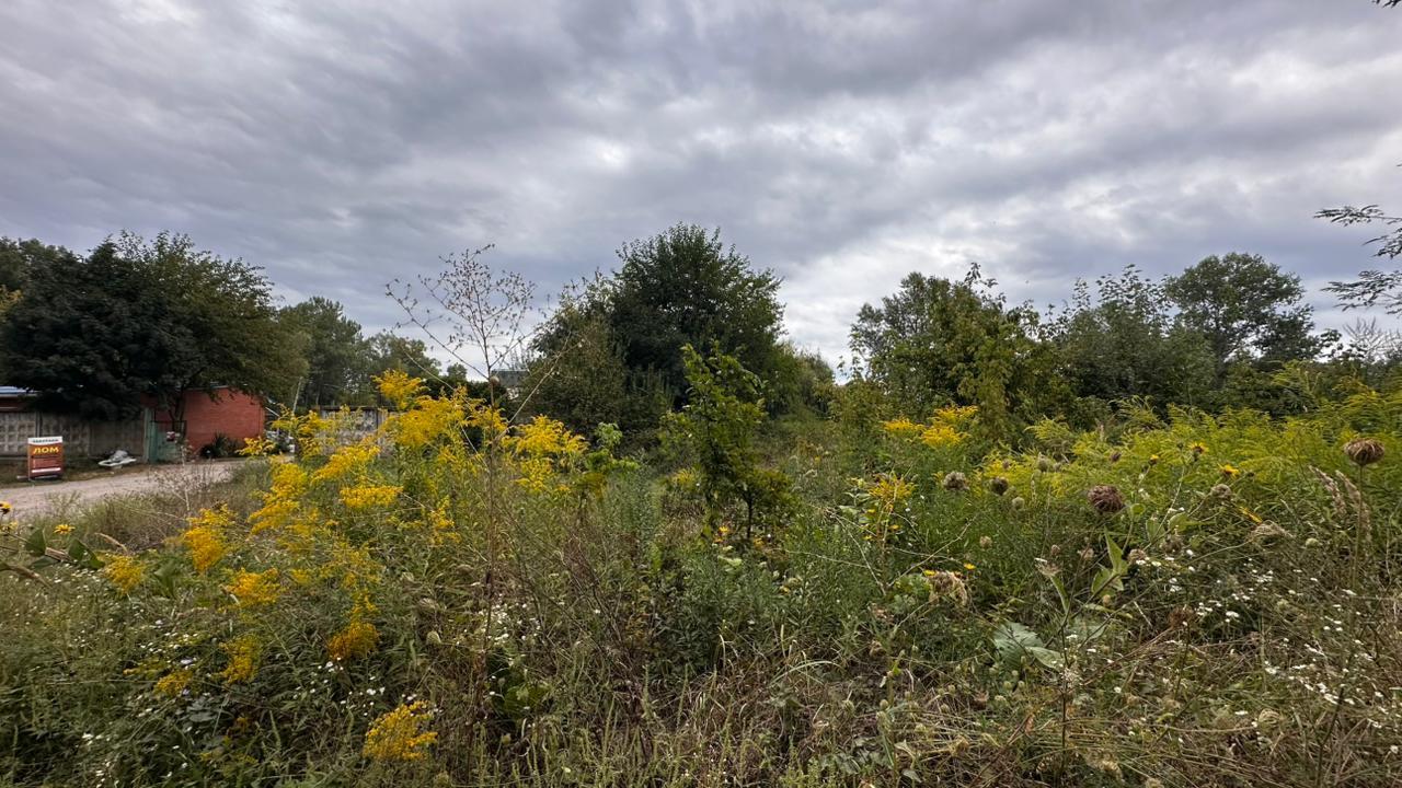 Фото №4: Коммерция 29 м² - Адыгейск, ул. Коммунистическая, 1А/1