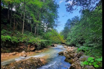 Фото №4: Земельный участок под ИЖС 7 сот. - Мезмай, 