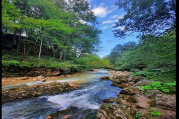 Фото №4: Земельный участок 7 сот. - Мезмай, 