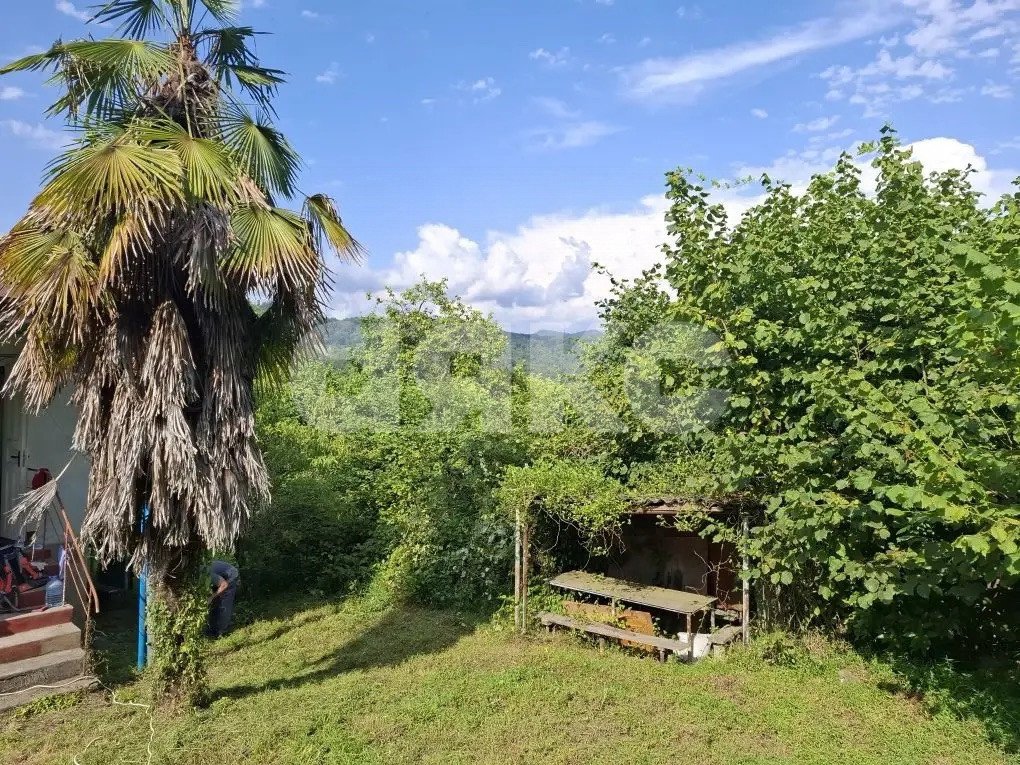 Фото №7: Личное подсобное хозяйство 8.47 сот. - Прогресс, Хостинский, ул. Урожайная