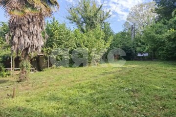 Фото №1: Личное подсобное хозяйство - Прогресс, р. Хостинский, ул. Урожайная