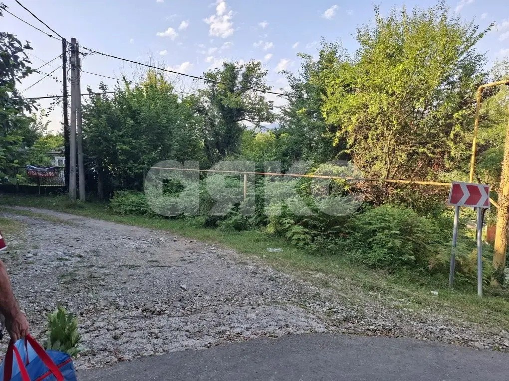 Фото №8: Личное подсобное хозяйство 8.47 сот. - Прогресс, Хостинский, ул. Урожайная