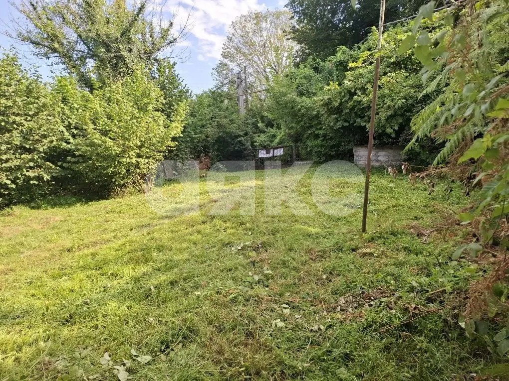 Фото №2: Личное подсобное хозяйство 8.47 сот. - Прогресс, Хостинский, ул. Урожайная