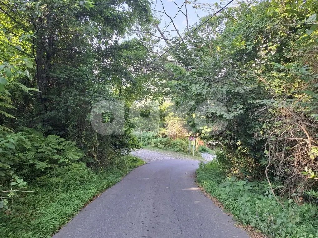 Фото №4: Личное подсобное хозяйство 8.47 сот. - Прогресс, Хостинский, ул. Урожайная