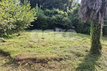 Фото №3: Личное подсобное хозяйство - Прогресс, р. Хостинский, ул. Урожайная