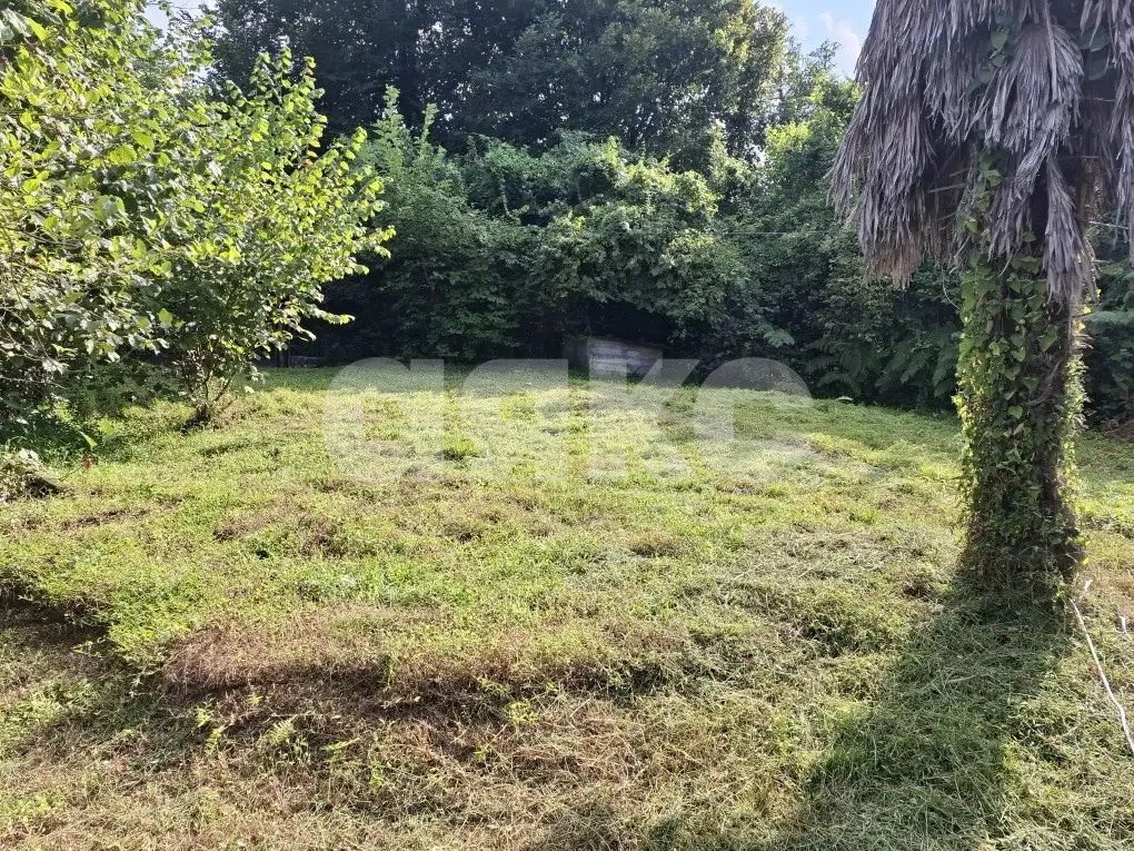 Фото №3: Личное подсобное хозяйство 8.47 сот. - Прогресс, Хостинский, ул. Урожайная