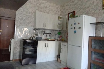 Фото №3: Студия 27 м² - Ленина, снт Рублёвский, ул. Радужная, 15Б