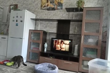 Фото №2: Студия 27 м² - Ленина, снт Рублёвский, ул. Радужная, 15Б