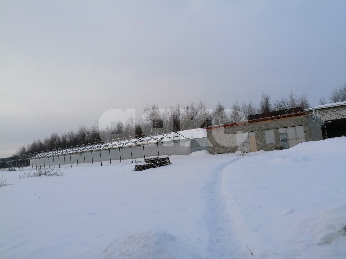 Фото №7: Коммерция 86 м² - Заворово, 28-й квартал