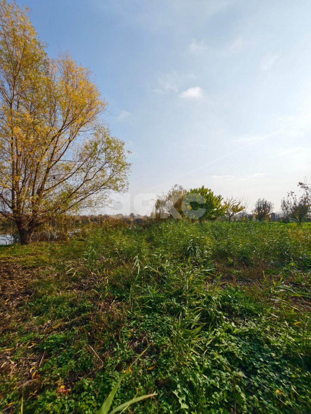 Фото №5: Земельный участок под ИЖС 12 сот. - Кореновск, ул. Колхозная, 7