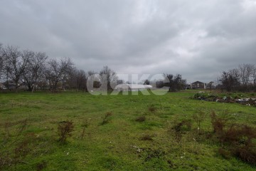 Фото №2: Личное подсобное хозяйство - Платнировская, ул. Кирова, 98