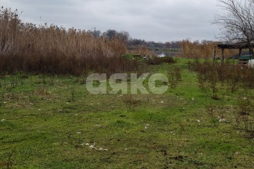 Фото №4: Личное подсобное хозяйство - Платнировская, ул. Кирова, 98