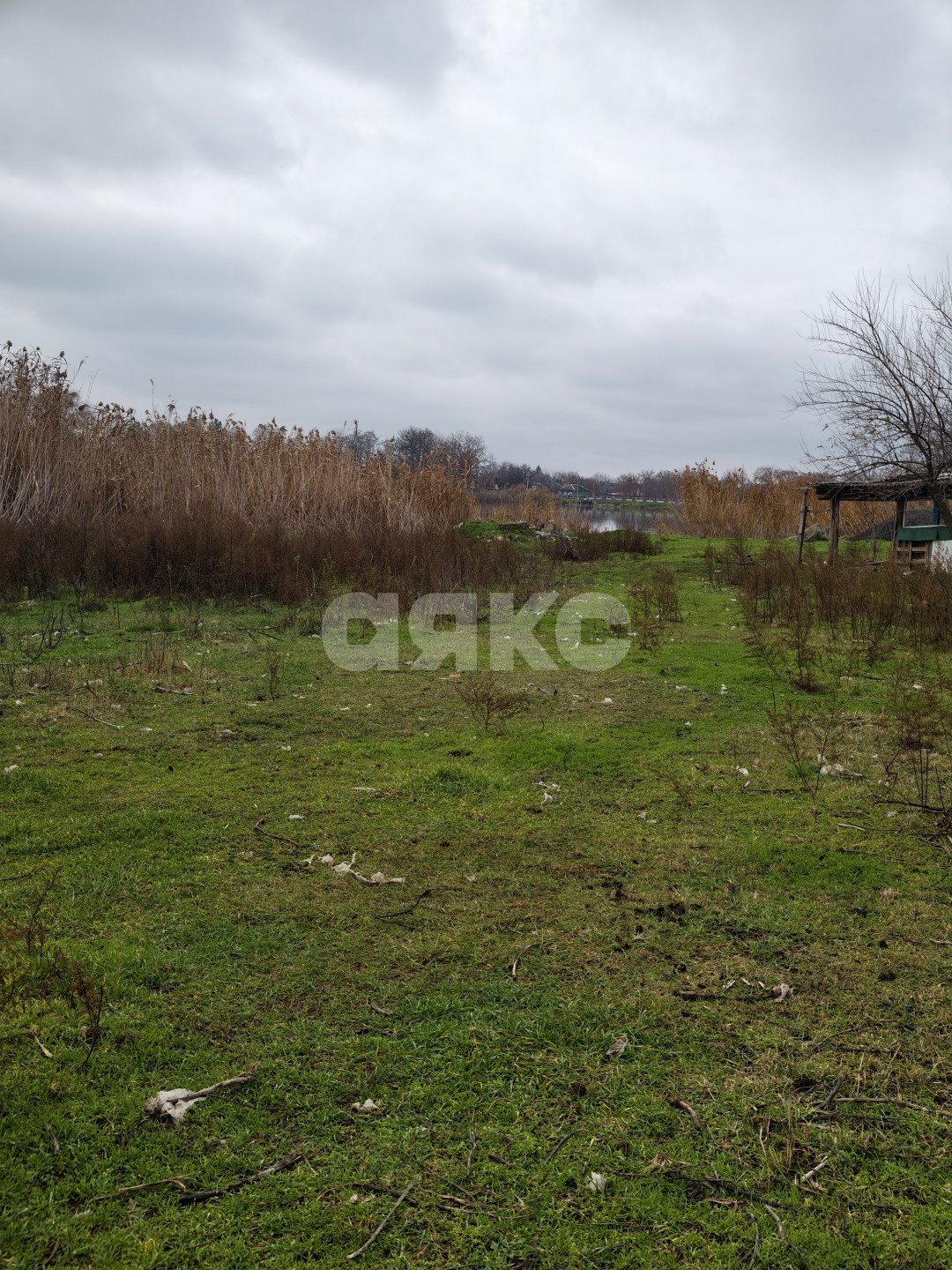 Фото №4: Личное подсобное хозяйство 5.6 сот. - Платнировская, ул. Кирова, 98