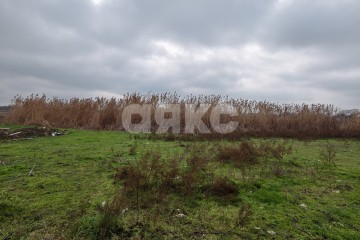 Фото №5: Личное подсобное хозяйство - Платнировская, ул. Кирова, 98