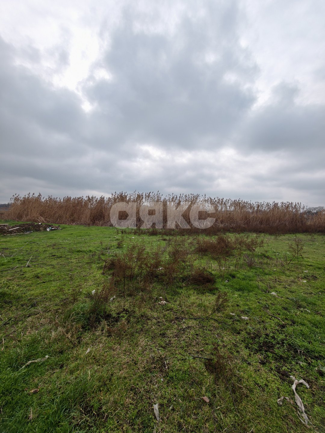 Фото №5: Личное подсобное хозяйство 5.6 сот. - Платнировская, ул. Кирова, 98