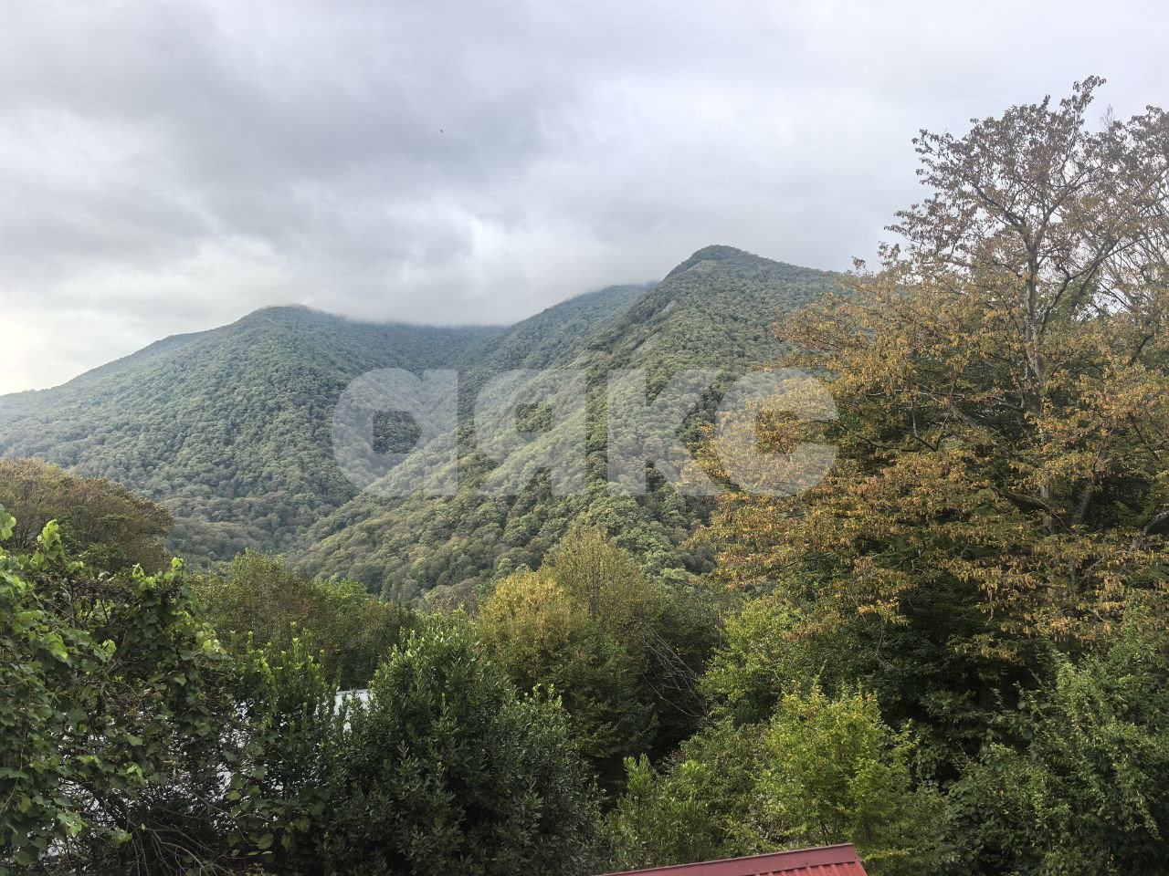 Фото №25: Дом 120 м² + 9.3 сот. - Алексеевское, Лазаревский, ул. Алексеевская, 47