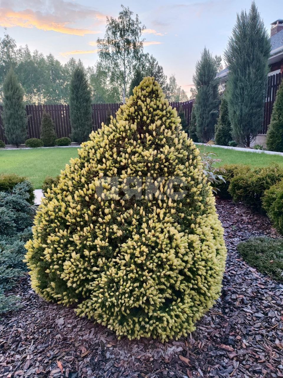 Фото №38: Дом 354 м² + 12 сот. - Черноголовка, пр-д Луговой, 9