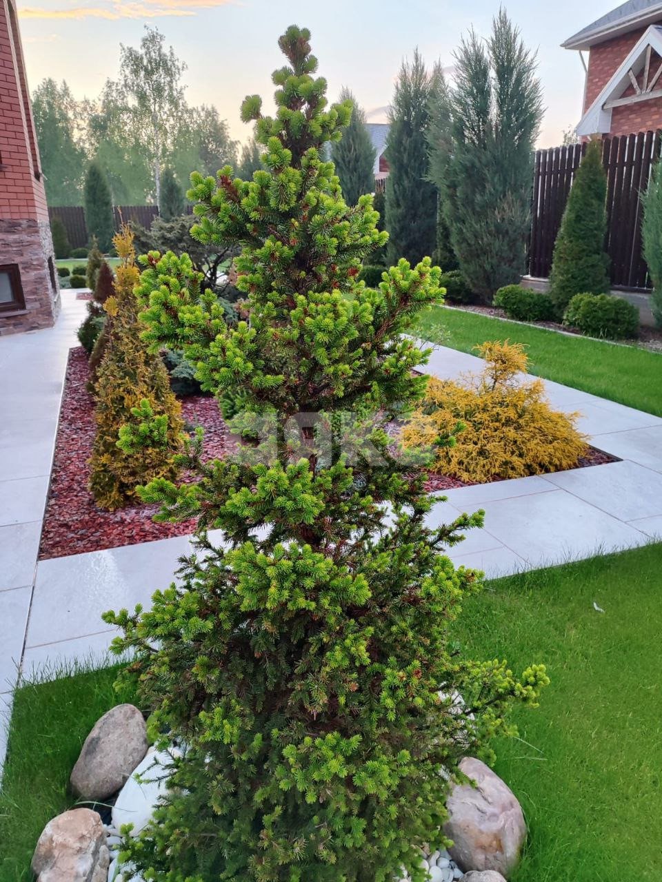 Фото №37: Дом 354 м² + 12 сот. - Черноголовка, пр-д Луговой, 9