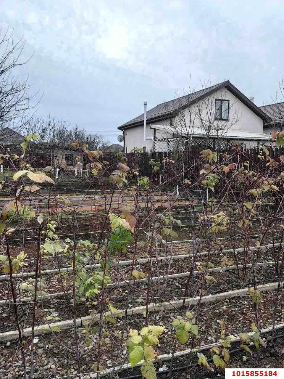 Фото №14: Дом 39 м² + 10 сот. - СНТ Кубань, Прикубанский внутригородской округ, ул. Ореховая, 13