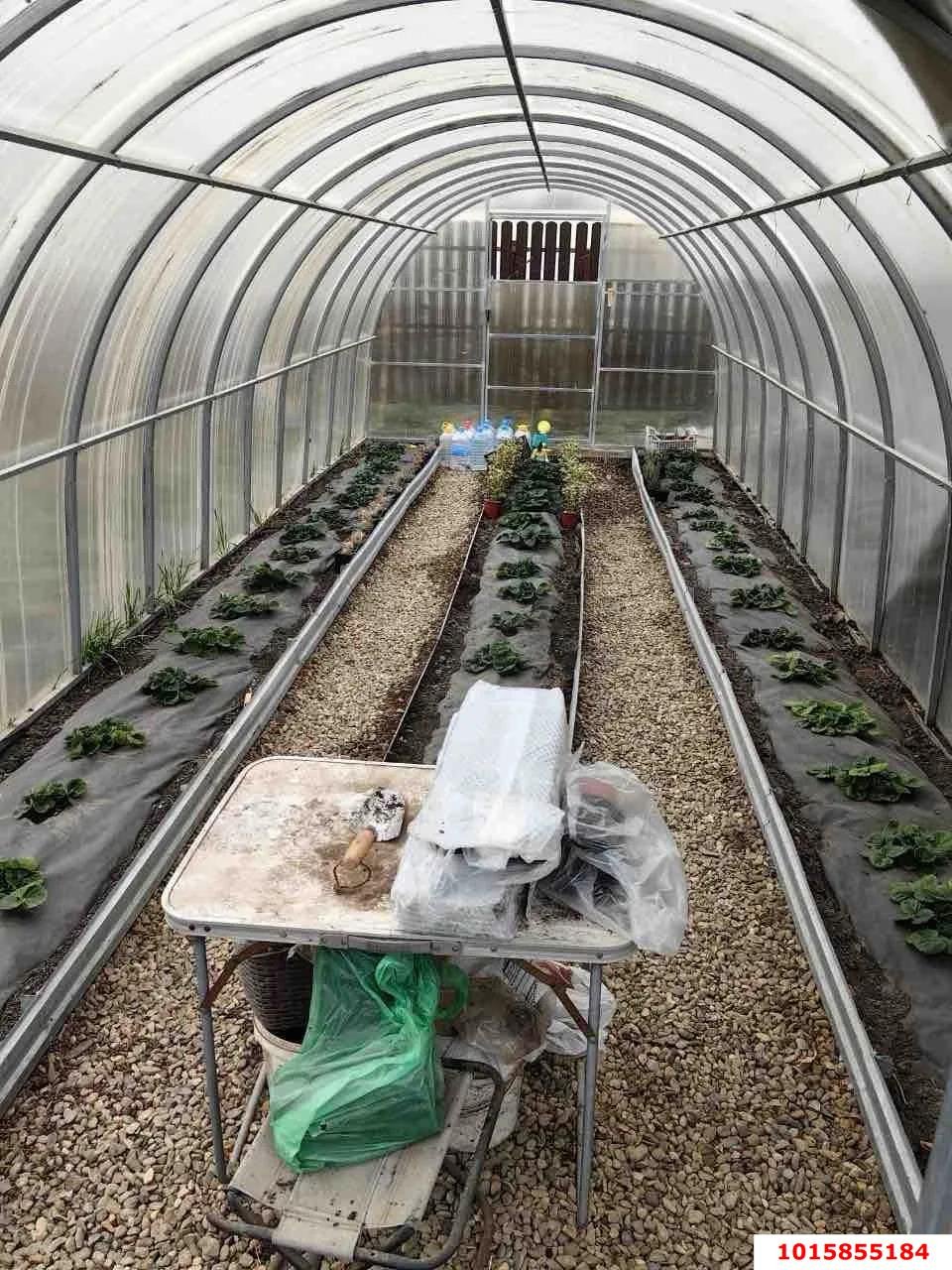 Фото №15: Дом 39 м² + 10 сот. - СНТ Кубань, Прикубанский внутригородской округ, ул. Ореховая, 13