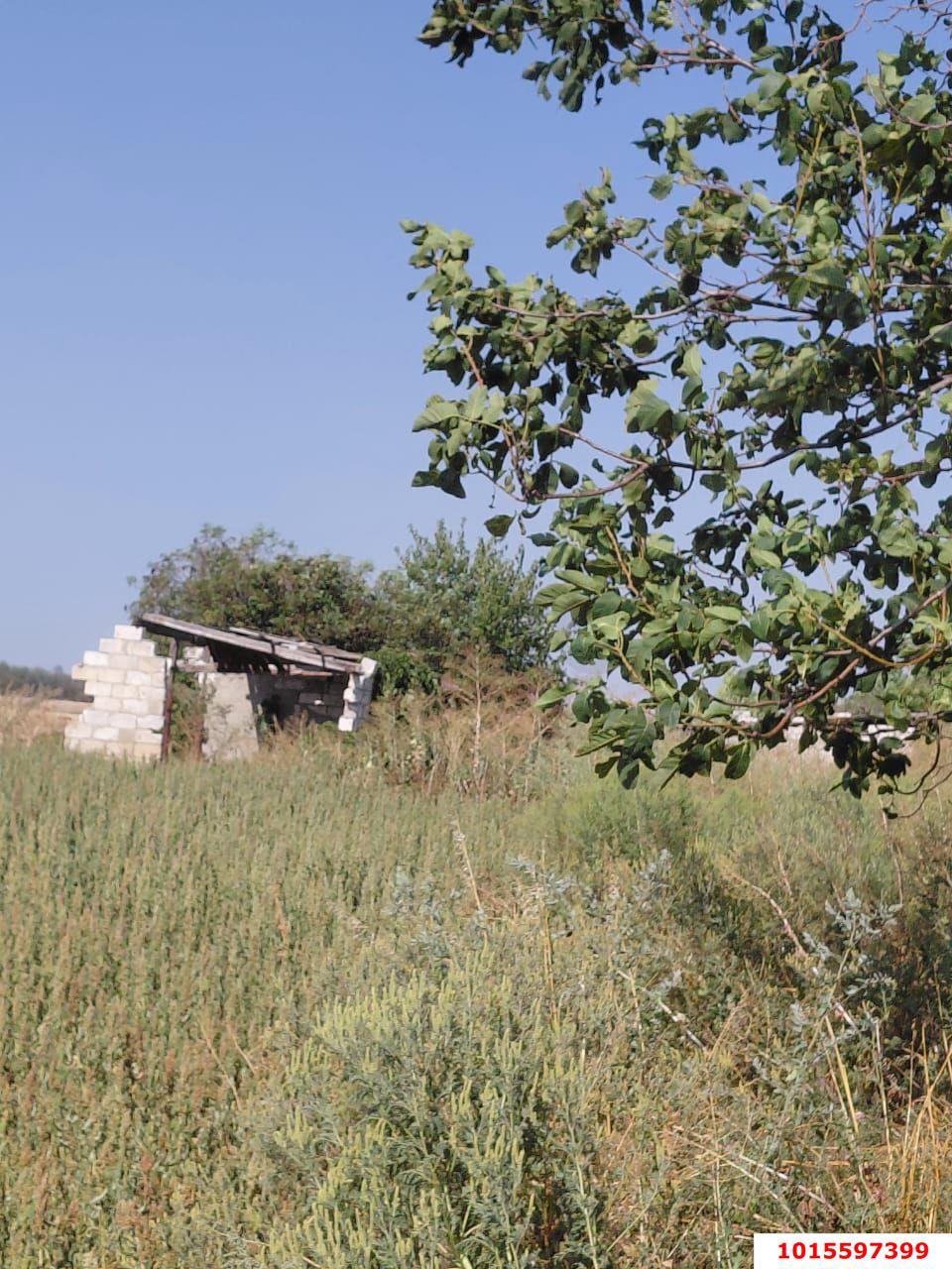 Фото №7: Участок садоводство 110.2 сот. - Лучезарный, ул. Лучезарная, 1А