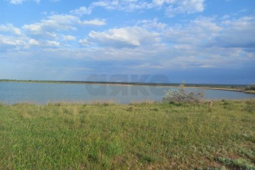 Фото №1: Коммерческая земля 115 сот. - Межводное, ул. Черноморское шоссе, 103