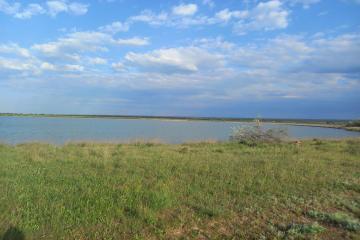 Фото №1: Коммерция 114 м² - Межводное, ул. Черноморское шоссе, 103